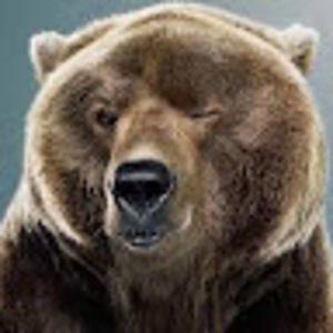 Meet your Posher, Savannah